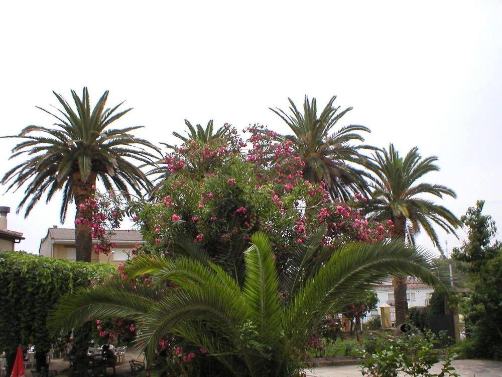 Hostal La Colonial 马德里加尔德拉韦拉 外观 照片